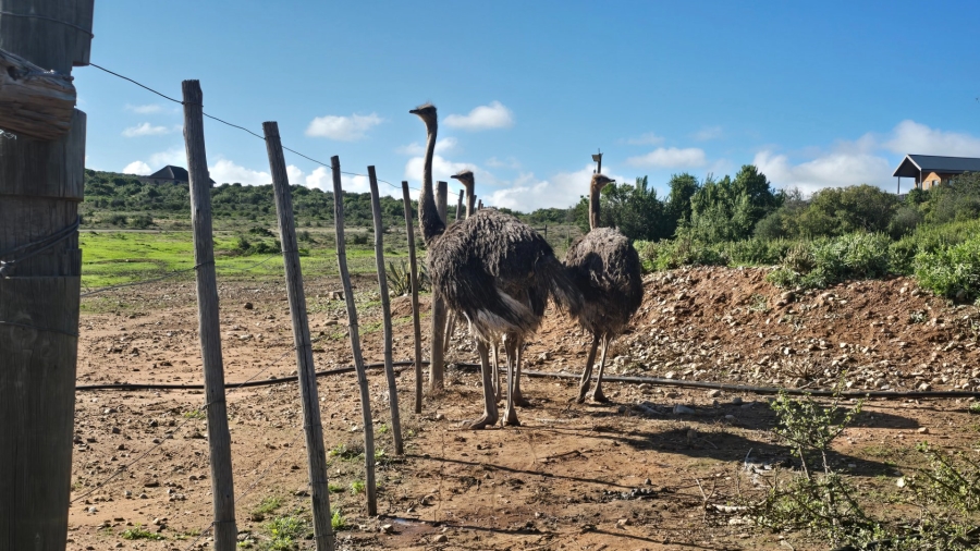 Commercial Property for Sale in Oudtshoorn Rural Western Cape